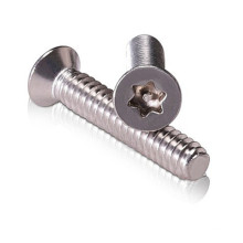 Stainless steel 304 torx head screw in dongguan